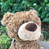 GUND BEAR PINCHY 43CM BROWN