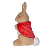 GUND CLASSIC PLUSH FLOPSY BUNNY 25CM