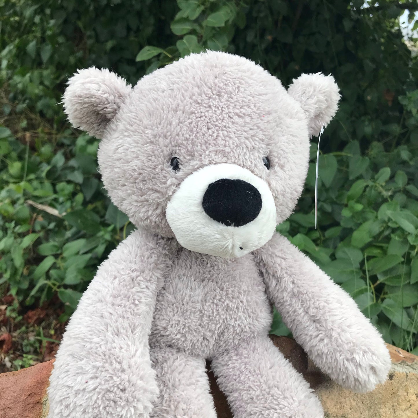 GUND BEAR FUZZY 38CM GREY