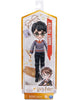 HARRY POTTER DOLL ASST