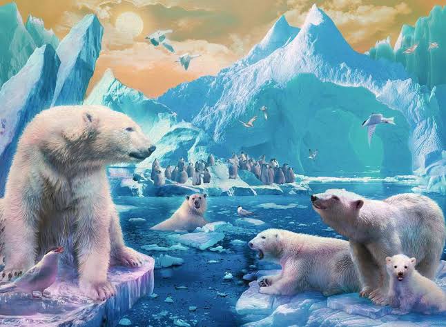 PUZZLE 300PC POLAR KINGDOM