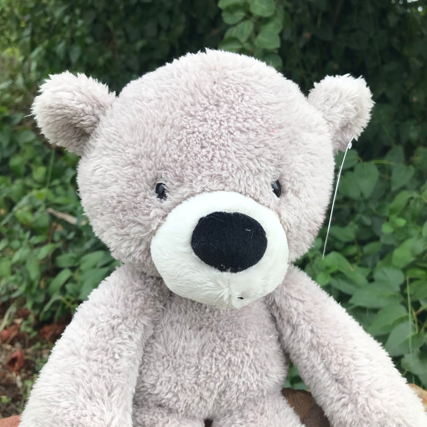 GUND BEAR FUZZY 38CM GREY