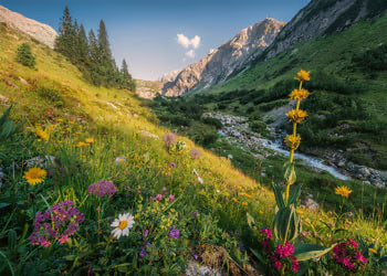 PUZZLE 1000PC MAGICAL VALLEY